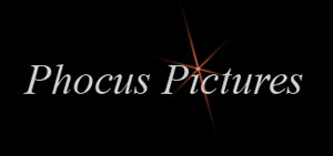 Phocus Pictures